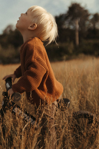 Mushroom Sweater